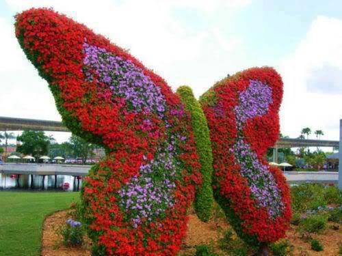 miracle garden 1